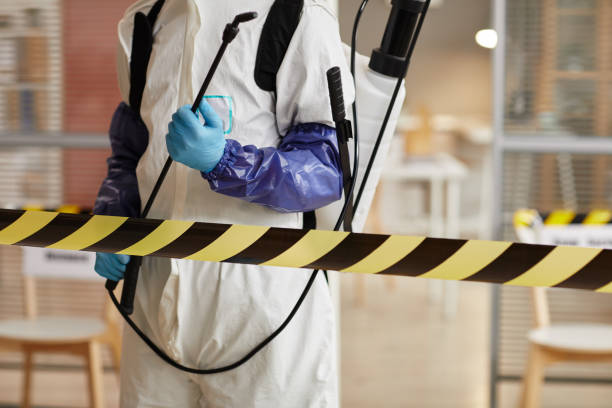 Professional Odor Removal technician working in Clayton, IN